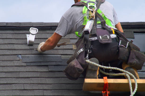 Roof Gutter Cleaning in Potomac Park, CA
