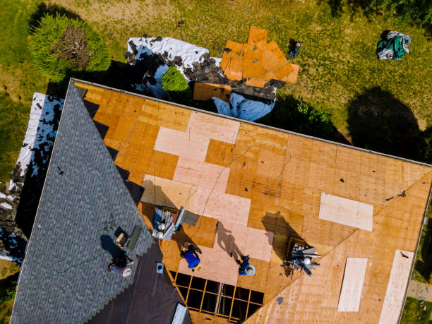 Best Emergency Roof Repair  in Potomac Park, CA