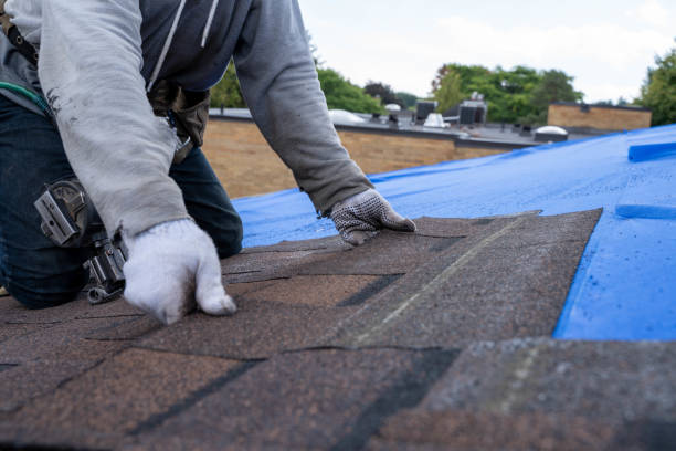 Best Roof Gutter Cleaning  in Potomac Park, CA