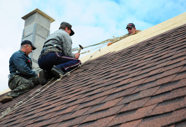 Best Gutter Installation and Roofing  in Potomac Park, CA