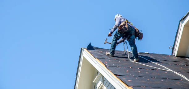 Best Storm Damage Roof Repair  in Potomac Park, CA